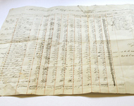Insurance Document replica by Daniel Reeve and NZMS