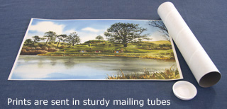 Packaging for Hobbiton painting